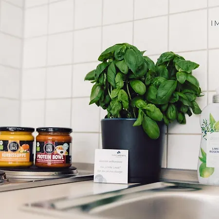 Apartamento Serviced Mit Netflix Und Wlan Im Zentrum