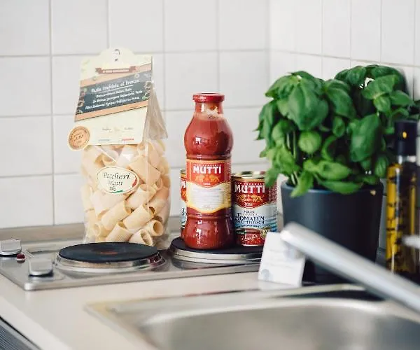 Apartment Serviced Mit Netflix Und Wlan Im Zentrum *