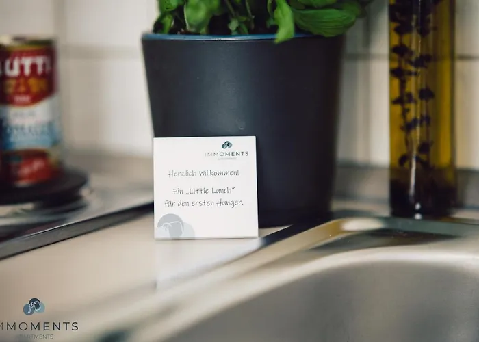 Apartment Serviced Mit Netflix Und Wlan Im Zentrum Magdeburg