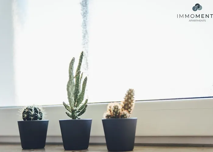 Apartment Serviced Mit Netflix Und Wlan Im Zentrum Magdeburg