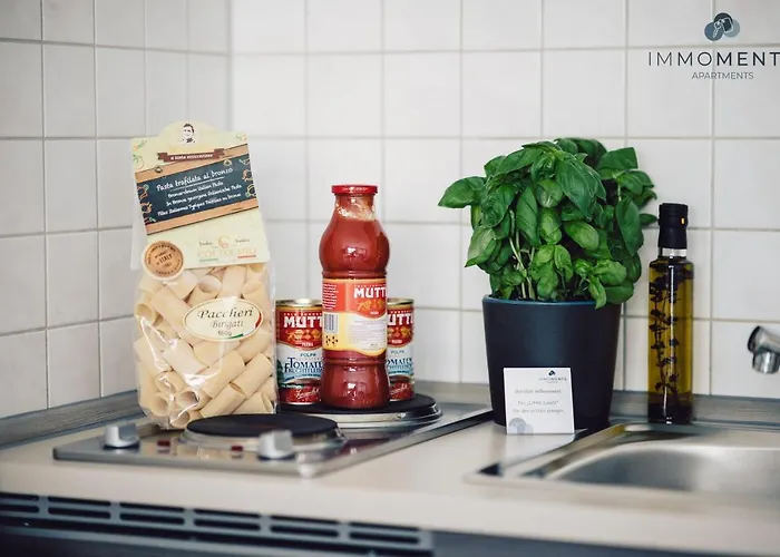 Serviced Mit Netflix Und Wlan Im Zentrum Magdeburg